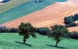 Marche 3