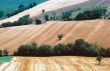 Marche 4