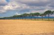 Maremma grossetana 2