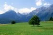 Molveno