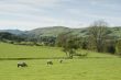 Farmland in the Lake District