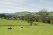 Farmland in the Lake District