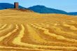 Val d Orcia 10