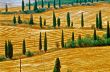 Val d Orcia 11