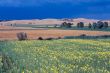 Val d`Orcia 14