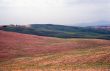 Val d`Orcia 4