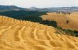 Val d`Orcia 6
