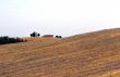 Val d`Orcia 7