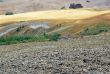 Val d Orcia 9