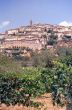 Trevi