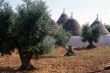 Trulli 4