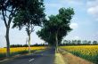 Verso Albi 2
