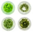 Four bowls of green tea