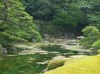 Tokyo garden
