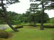 Tokyo garden