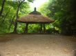 Tokyo garden