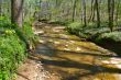 stream