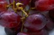 grape