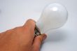 holding a bulb