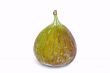 single fig on white