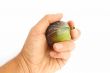 fig in hand isolated