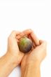 fig in hands