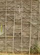 Wall Made from Bark and Branches