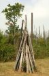 Small Shelter Made from Branches