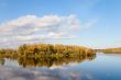 autumn forest on the island