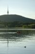 boating near Telstra tower