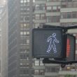 Walk pedestrian signal
