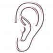 Human Ear