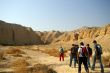 walkers in a desert