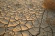 Dry soil - ecology disaster
