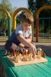 boy play a chess