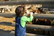 A child in a zoo
