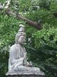 buddha statue