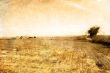 old-fashioned landscape