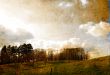 old-fashioned landscape