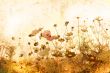 old-fashioned landscape