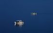 Fishing boats