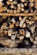 Logs