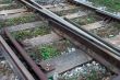 Neglected railway tracks