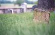 Small Graveston