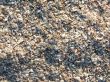 The small broken cockleshells on a beach.
