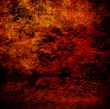 Great for textures and backgrounds