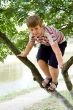 boy on a tree