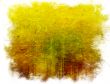 Abstract Background frame