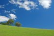 spring countryside