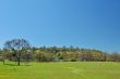 spring countryside
